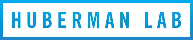 Huberman Lab